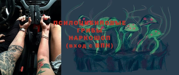 mix Белокуриха