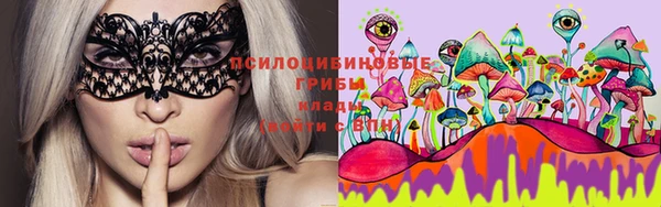 mix Белокуриха