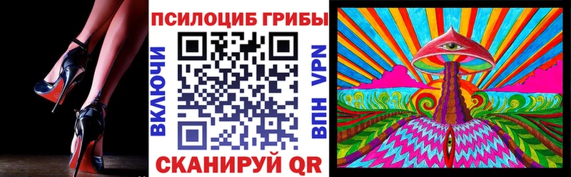 Галлюциногенные грибы Psilocybe  KRAKEN рабочий сайт  Калининец 